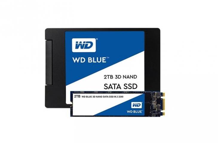 SSD WD Blue. (Western Digital)